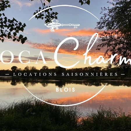Gites Des Cygnes Vue Sur Loire Et Linge Inclus Blois Exteriér fotografie